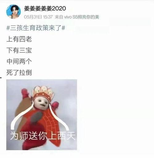 明星网红对贵州山火看法,明星网红热议，关注生态保护与救援行动