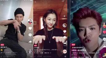 明星网红转场视频在线观看,精彩视频在线观看大盘点