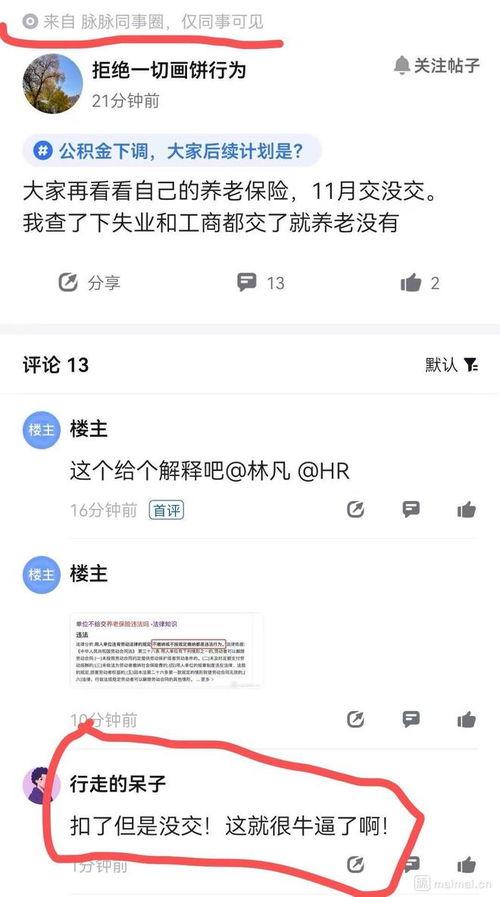 今日热榜在线吃瓜视频在线观看,在线吃瓜视频，揭秘娱乐圈幕后风云