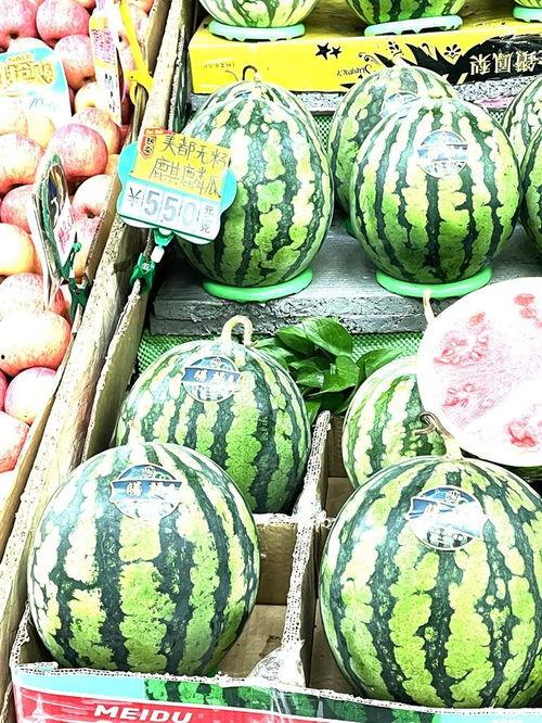 分宜麒麟瓜今日价格