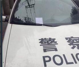 广州假警车最新爆料消息,揭秘伪装真相，警方严查中