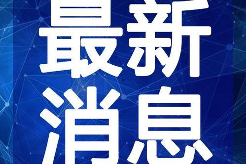 凯哥皮肤爆料视频最新版,最新爆料视频深度解析