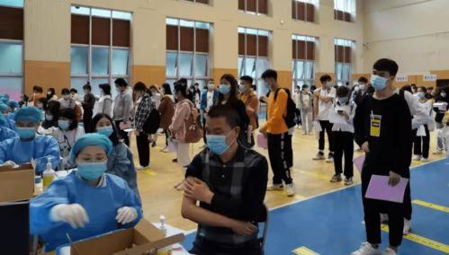 景宁新闻爆料最新消息,最新爆料揭示重大事件进展