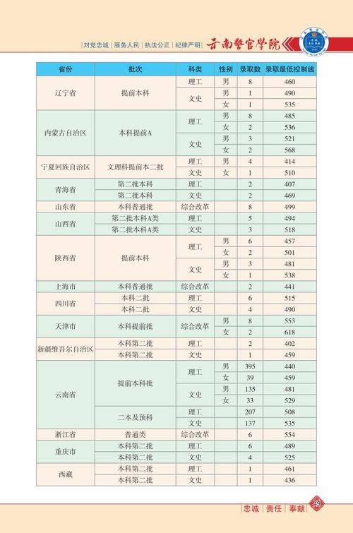 洪大炮最新爆料视频大全,揭秘热点事件背后的真相