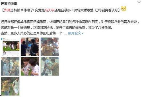 卓伟爆料郑爽视频,郑爽私密视频引发热议