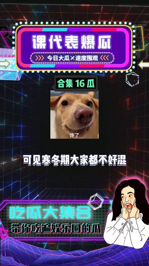 关于吃瓜娱乐八卦的网名,揭秘娱乐圈幕后风云