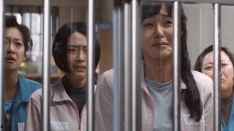 女犯在线观看,揭秘网络直播中的犯罪世界