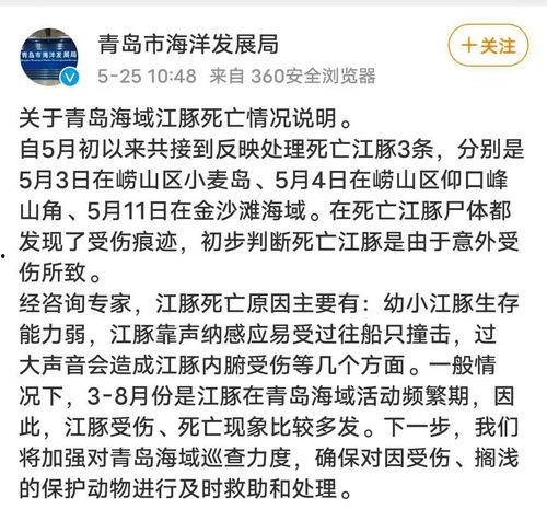 九龙坡王先生爆料新闻,揭开神秘事件背后真相