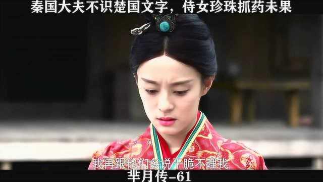 芈月传61集在线观看,芈月智斗权谋，宫廷风云再起