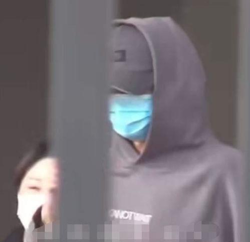 网红暗黑爆料视频大全集,视频大全集深度解析