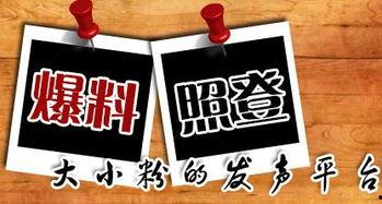新闻爆料话题有哪些内容,聚焦热点话题，深度剖析社会现象