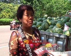 武都网红吃瓜群众事件真相,真相背后的网络舆论风暴