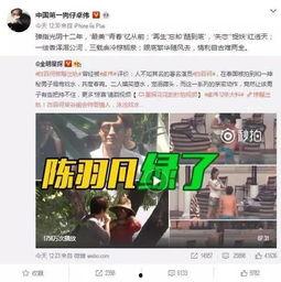 武成侯最新爆料消息视频,揭秘幕后真相，带你走进事件核心