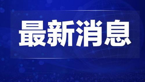 广东今日一线热点爆料新闻,聚焦最新热点爆料，揭秘社会焦点事件