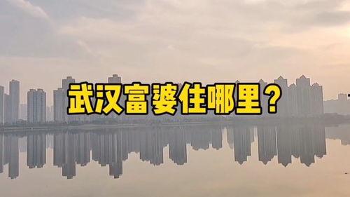 楼市爆料内容大全视频,视频内容大全深度解析