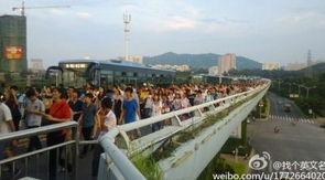厦门brt最新爆料,揭秘线路调整与未来规划