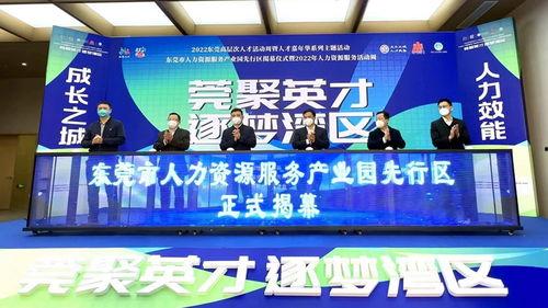 东莞常平新闻爆料热线,见证城市脉搏，倾听民声心声