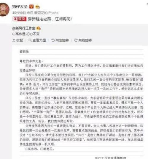 爆料娱乐圈文稿,揭秘明星背后的故事