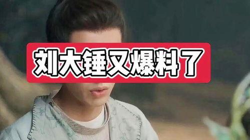 爆料娱乐圈刘大锤,揭秘明星背后的惊人真相