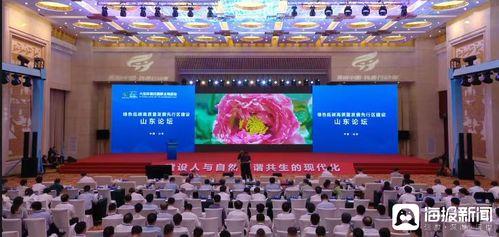 青山最新爆料新闻报道,揭秘事件背后惊人真相