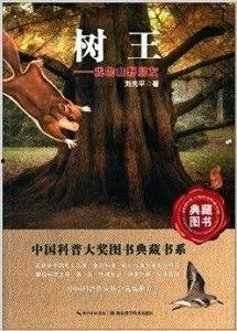 树王在线观看,在线观看，揭秘神秘古树守护传奇