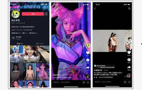 网红爆料的视频在哪看,一探究竟