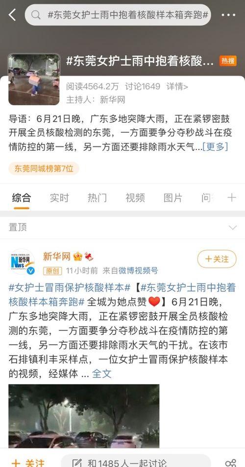 东莞今日爆料,聚焦热点事件，揭秘背后真相