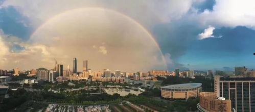 东莞今日爆料,聚焦热点事件，揭秘背后真相