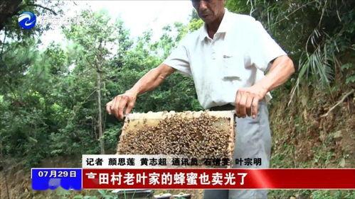 文春爆料金菜园视频大全,文春爆料背后的精彩瞬间