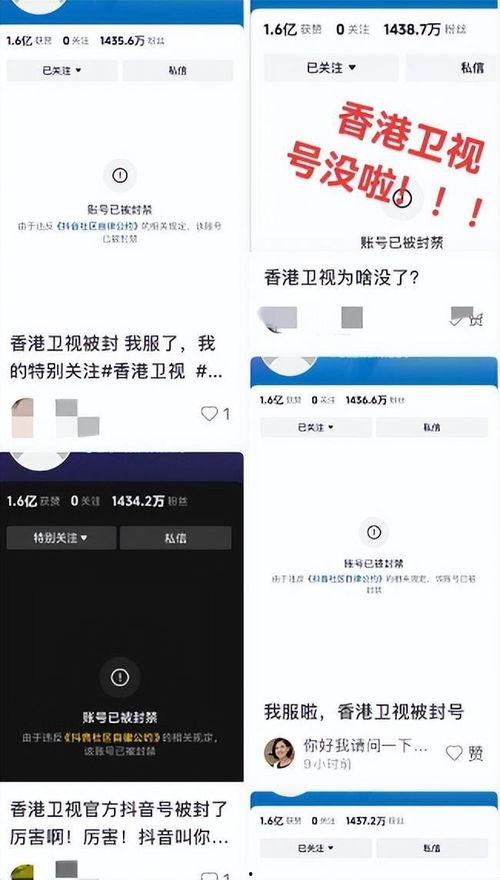 去香港卫视看最新爆料,最新爆料事件深度解析