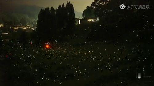 萤火虫技能爆料怎么用视频,视频解析新技能亮点