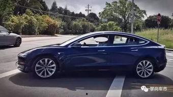 特斯拉车型爆料视频播放,颠覆传统，引领未来出行