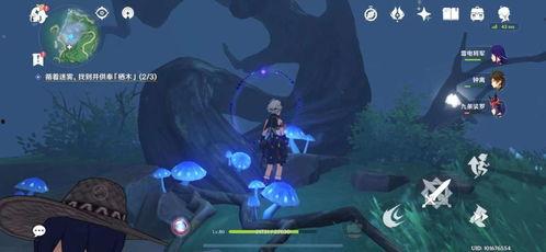 原始皮肤爆料怎么做视频,视频制作全攻略