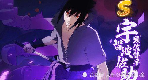 迈特凯最新爆料,神秘力量背后的真相与挑战