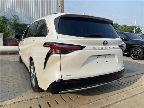 网红吃瓜59万粉丝,揭秘网络红人的崛起之路