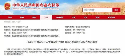 汝州热点爆料新闻视频下载,最新爆料新闻视频回顾