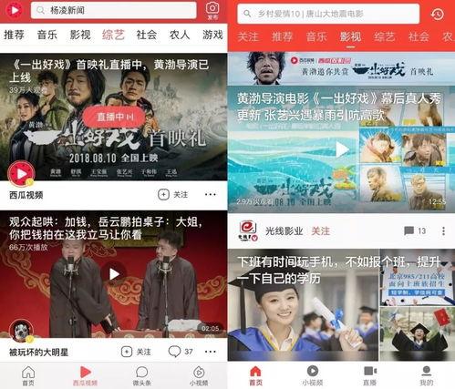 今日吃瓜网红爆料新闻视频,今日热门新闻视频揭秘，吃瓜群众热议不断！”