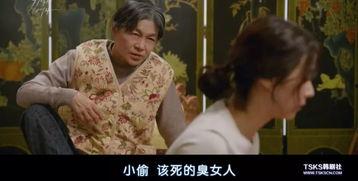 郑燕姿韩亿爆料视频,揭秘娱乐圈幕后真相