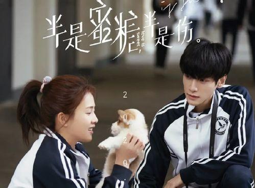 蜜糖娱乐爆料袁帅,蜜糖娱乐独家爆料，揭秘明星背后的故事