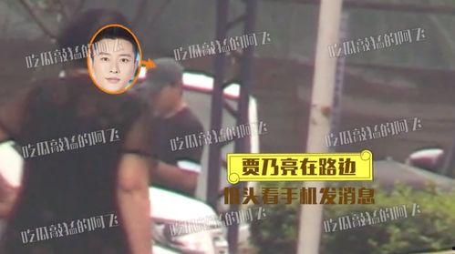 贾乃亮媒体爆料视频大全,揭秘娱乐圈幕后真相