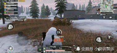 和平精英2024载具最新爆料,揭秘未来战场新玩法