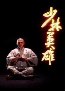 少林英雄在线观看,传奇对决，在线激战正酣