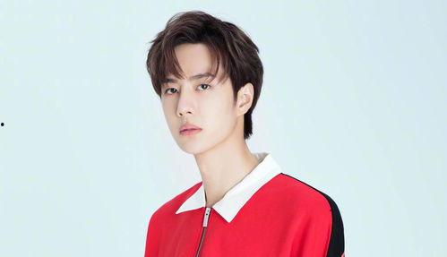 娱乐大爆料王源和祝绪丹,娱乐大爆料幕后故事揭晓