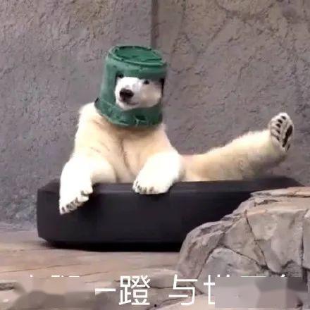 沙雕吃瓜爆料视频,娱乐圈幕后真相大曝光！