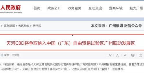 天河新闻爆料,揭秘重大事件背后真相