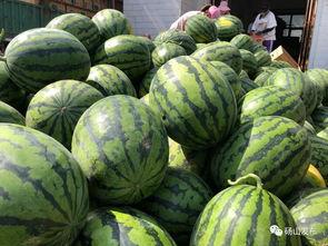 砀山最新吃瓜爆料