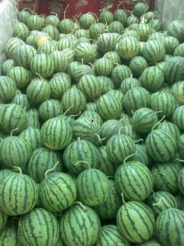 砀山最新吃瓜爆料