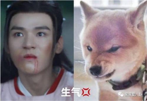 二狗爆料赵山河内鬼视频,赵山河内部惊人视频曝光