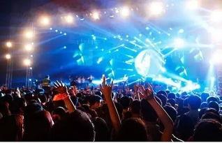 网友爆料蚌埠音乐节视频,网友视频记录狂欢盛况